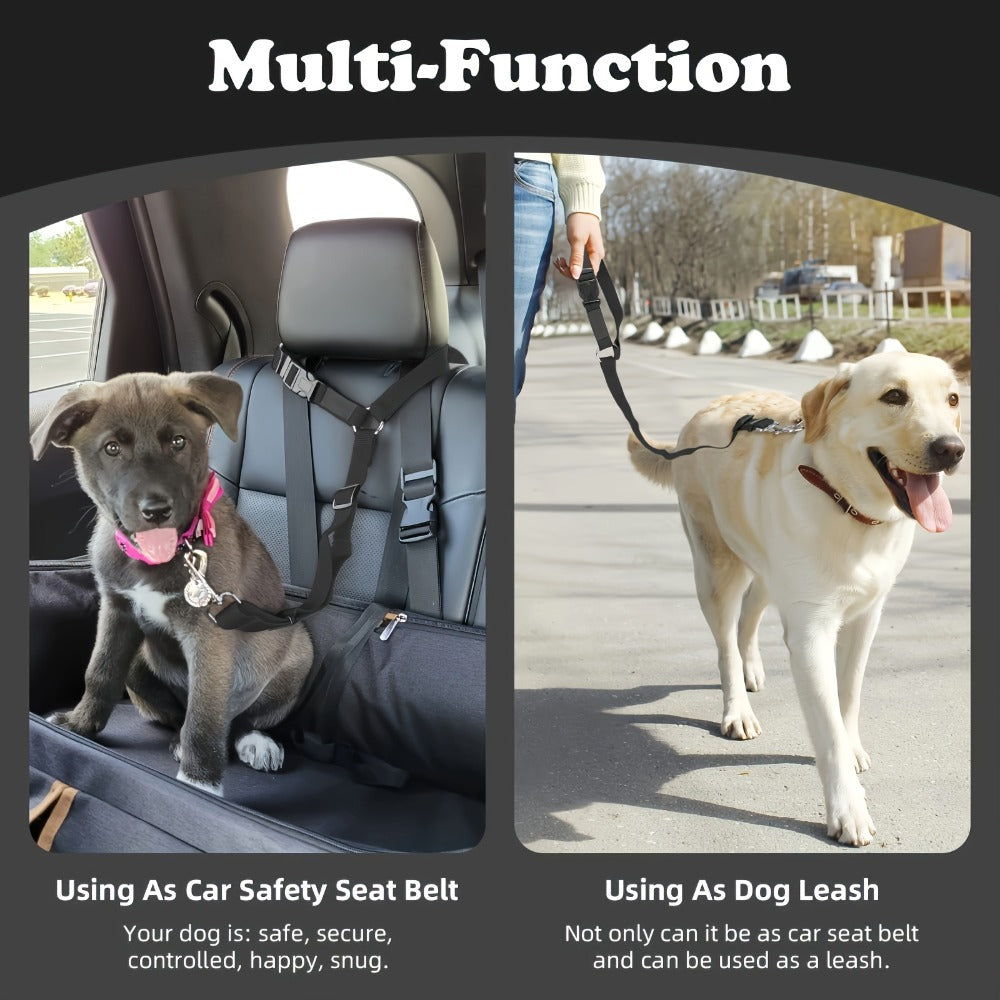 2-Piece Dog Leash Set – Durable Wear-Resistant & Skin-Friendly Material, Perfect for Walking, Training & Travel