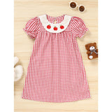 Toddler Kids Girls Back to School Dress – Smocked Collar Puff Sleeve Plaid Embroidered Outfit