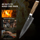 Kegani 8‑Inch Japanese VG‑10 Damascus Chef Knife – 67‑Layer Ultra‑Sharp Blade with Ergonomic Full‑Tang Handle