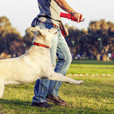 Interactive Dog Toy – Durable Chew & Training Ball for Medium & Large Dogs, Engaging Playtime & Exercise Toy