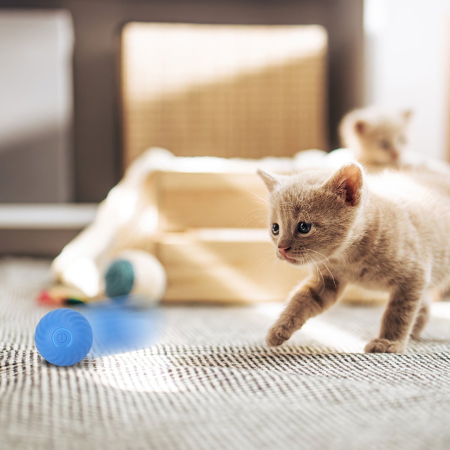 Motion-Activated Fast-Rolling Cat Toy Ball in Pouch – Rechargeable Interactive Play