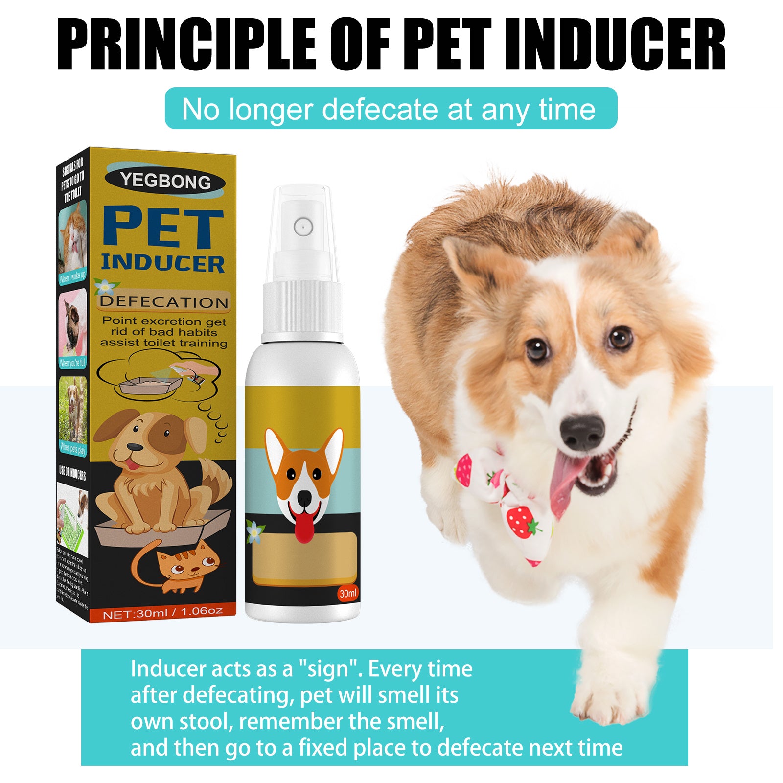 Pet Feces Positioning Inducer Spray – Attractant Scent Training Aid for Indoor & Outdoor Litter Spotting