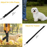 Pack of 2 Adjustable Pet Seat Belt Leash Straps – Safe Car Restraint for Dogs & Cats, No-Tangle Design