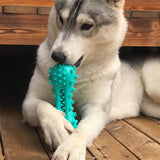 Pet Dog Cleaning Chew Toy – Rubber Molar Stick for Aggressive Chewers, Durable Dog Toy for Oral Care & Healthy Teeth