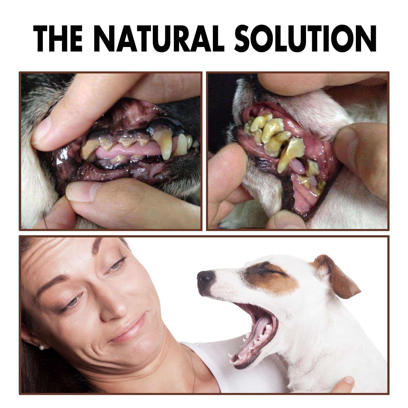 Pet Tooth Cleaning Spray – Oral Care Fresh Breath Spray for Dogs & Cats, Reduces Plaque & Tartar Buildup