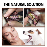 Pet Tooth Cleaning Spray – Oral Care Fresh Breath Spray for Dogs & Cats, Reduces Plaque & Tartar Buildup