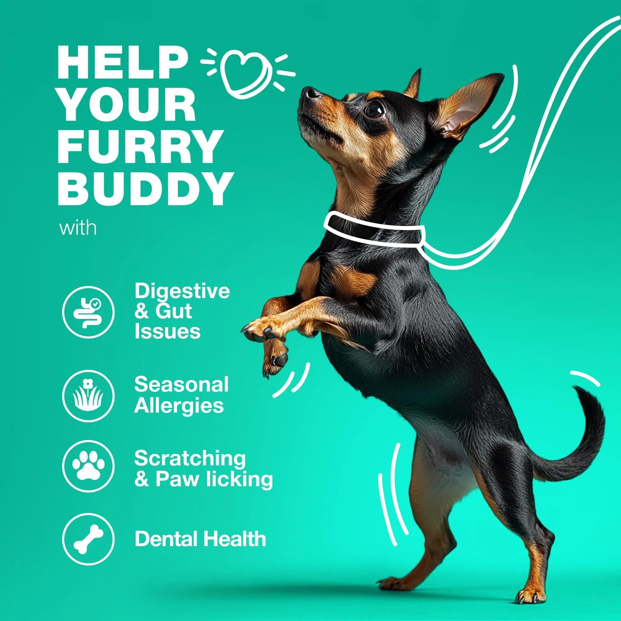 Probiotics for Dogs – 180 Chews with Digestive Enzymes for Gut Health, Immunity, Yeast Balance & Allergy Relief