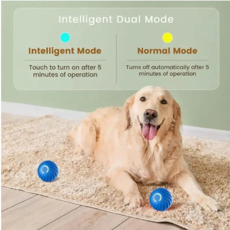 Blue & Orange Pet Bouncing Ball – Fun Interactive Toy for Cats & Dogs, Durable Rubber Ball for Playtime & Exercise