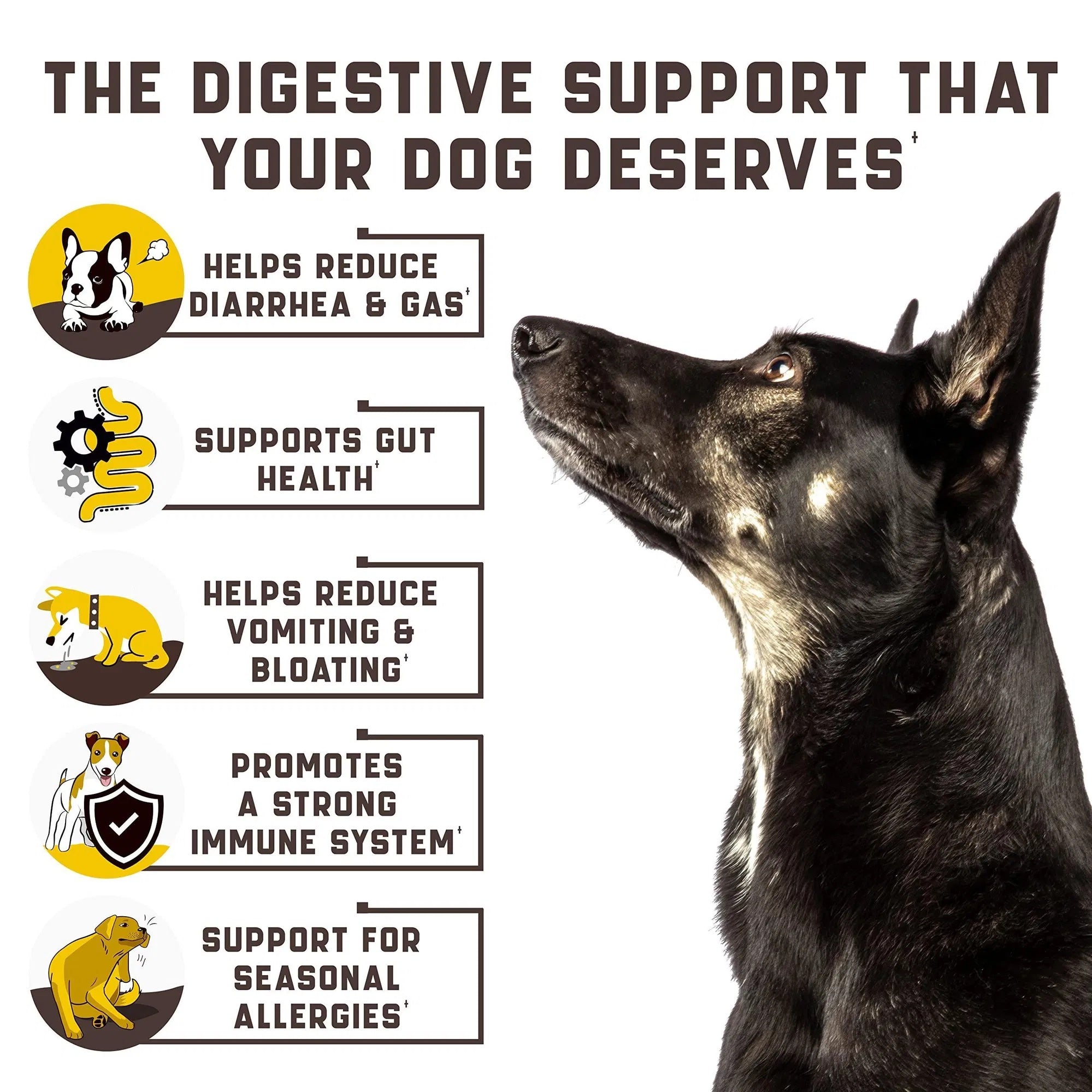 Probiotics for Dogs – Digestive Enzymes & Gut Health Support Chews for Allergies, Yeast Balance & Immunity
