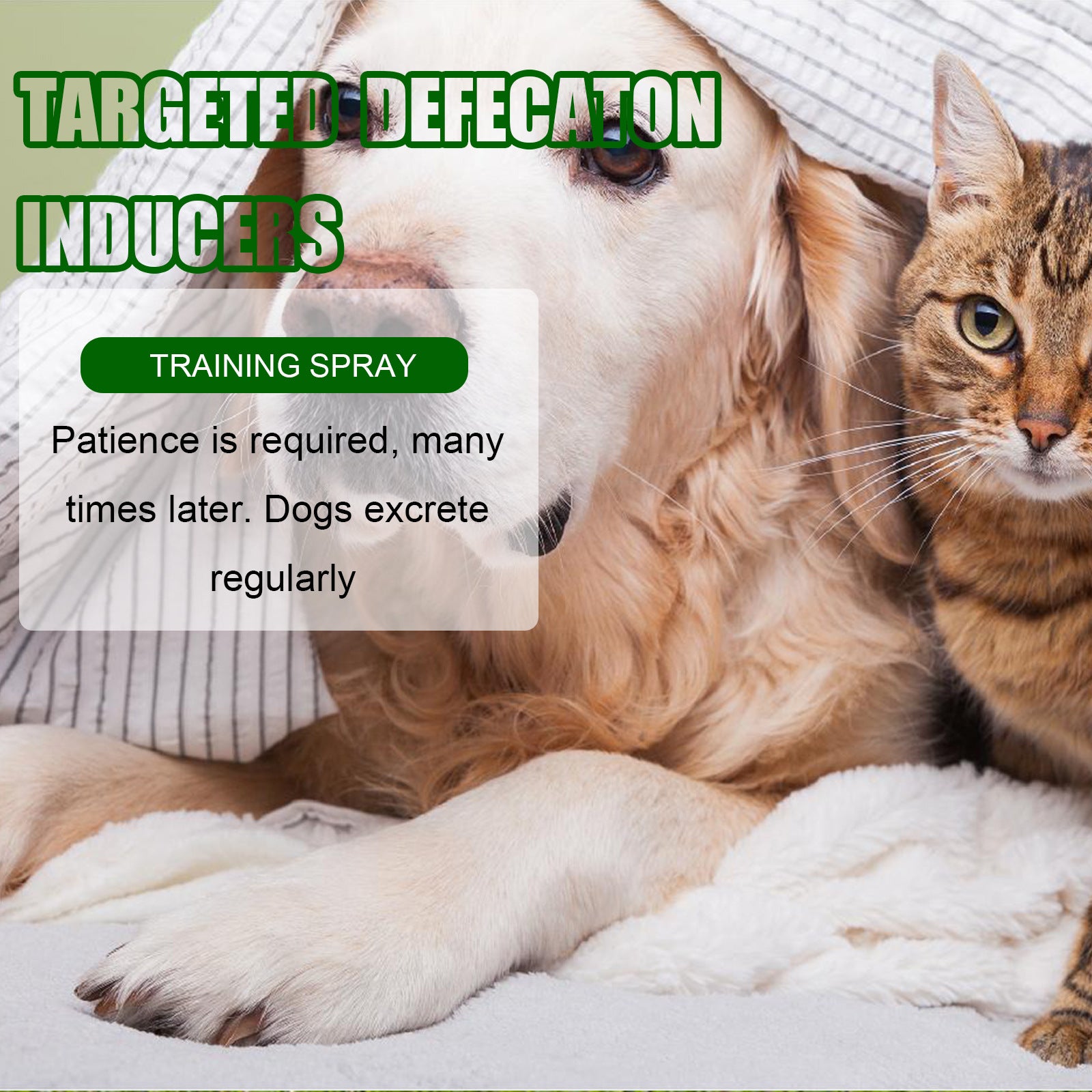 Yegbong Pet Toilet Positioning Inducer – Scented Spray for Gentle Potty Training of Cats & Dogs