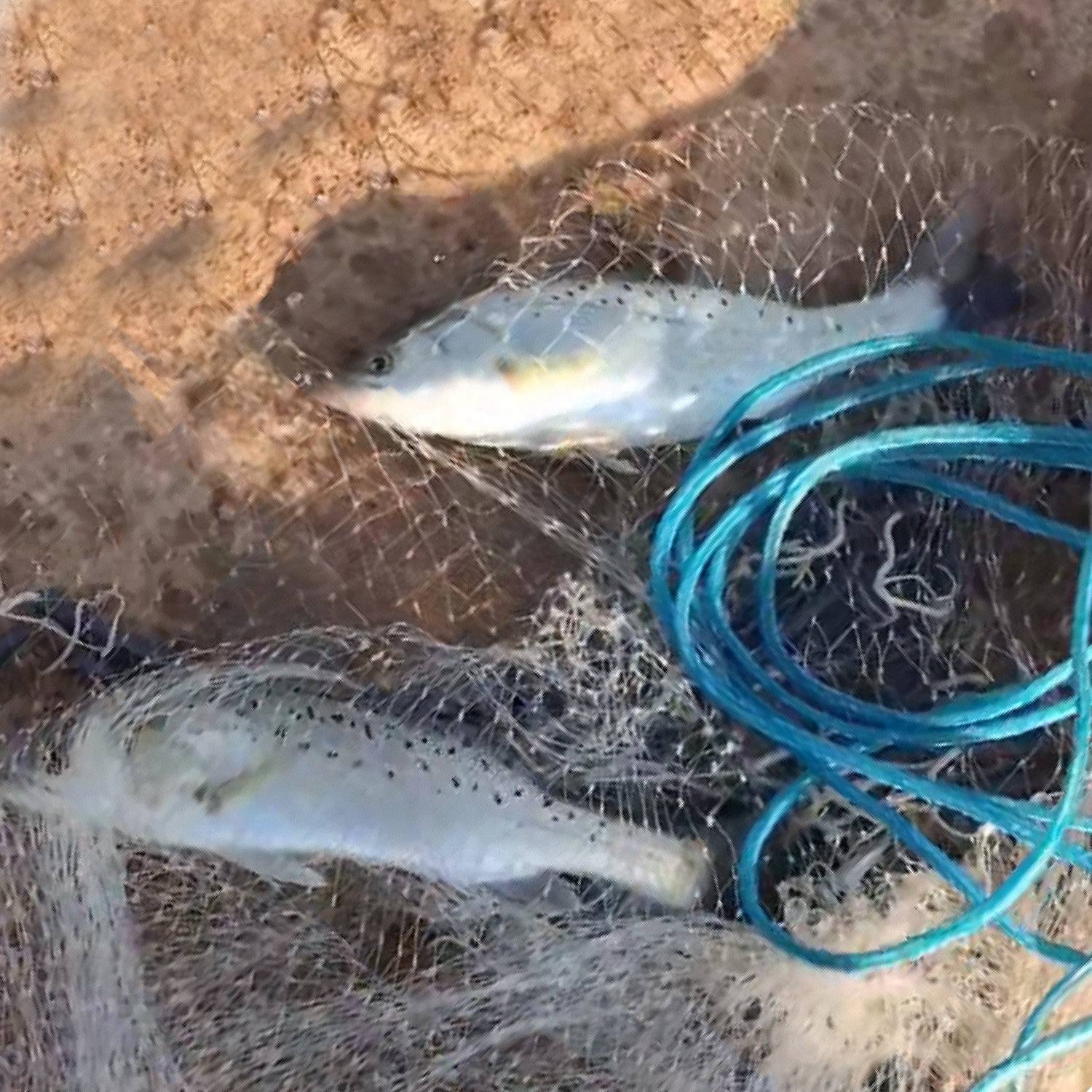 Easy Throw Fishing Cast Net (6ft/8ft Radius) - Heavy-Duty Bait Trap Net with Chain Bottom