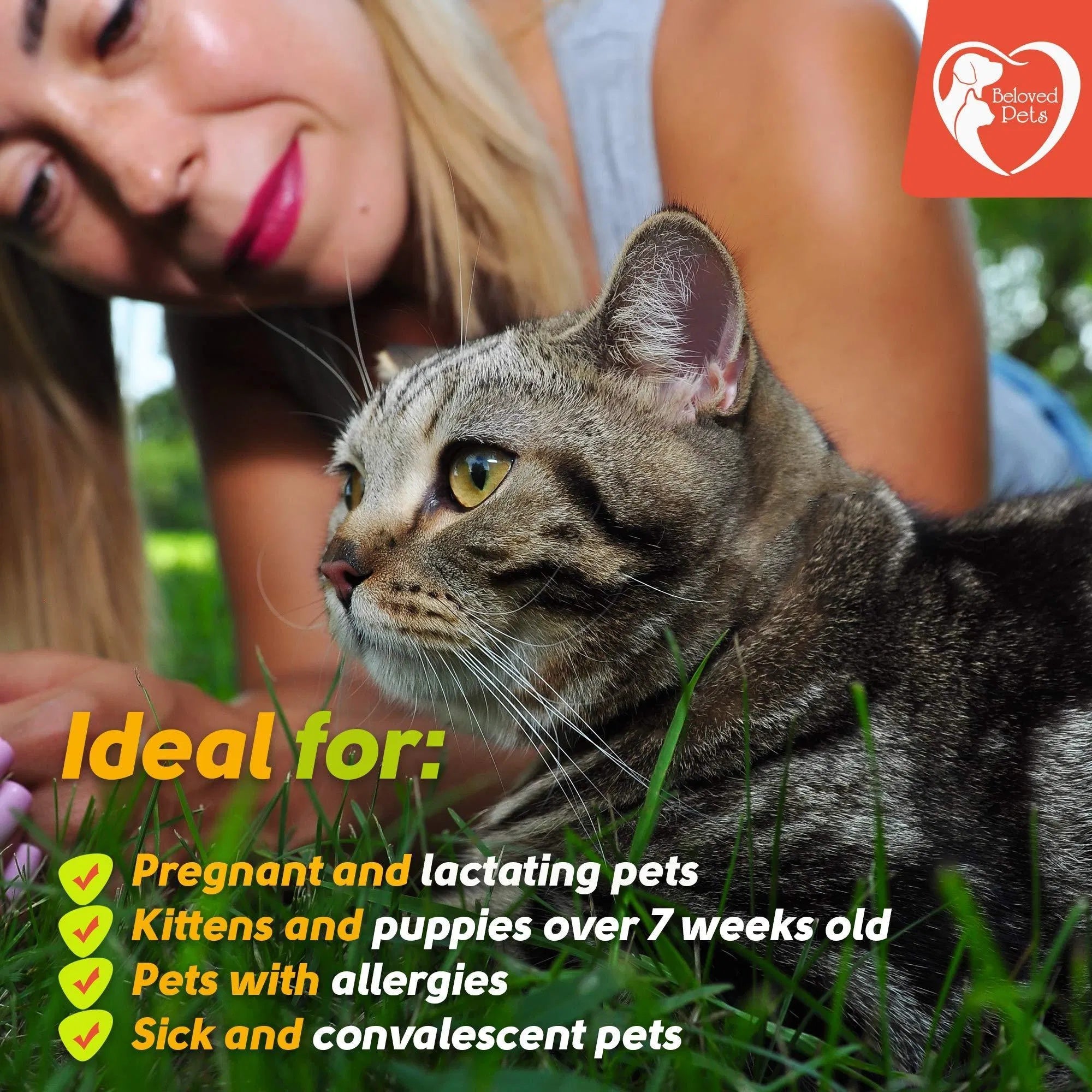 Flea & Tick Prevention for Dogs, Cats & Rabbits – Natural Topical Drops with Mosquito Repellent (3 Doses)