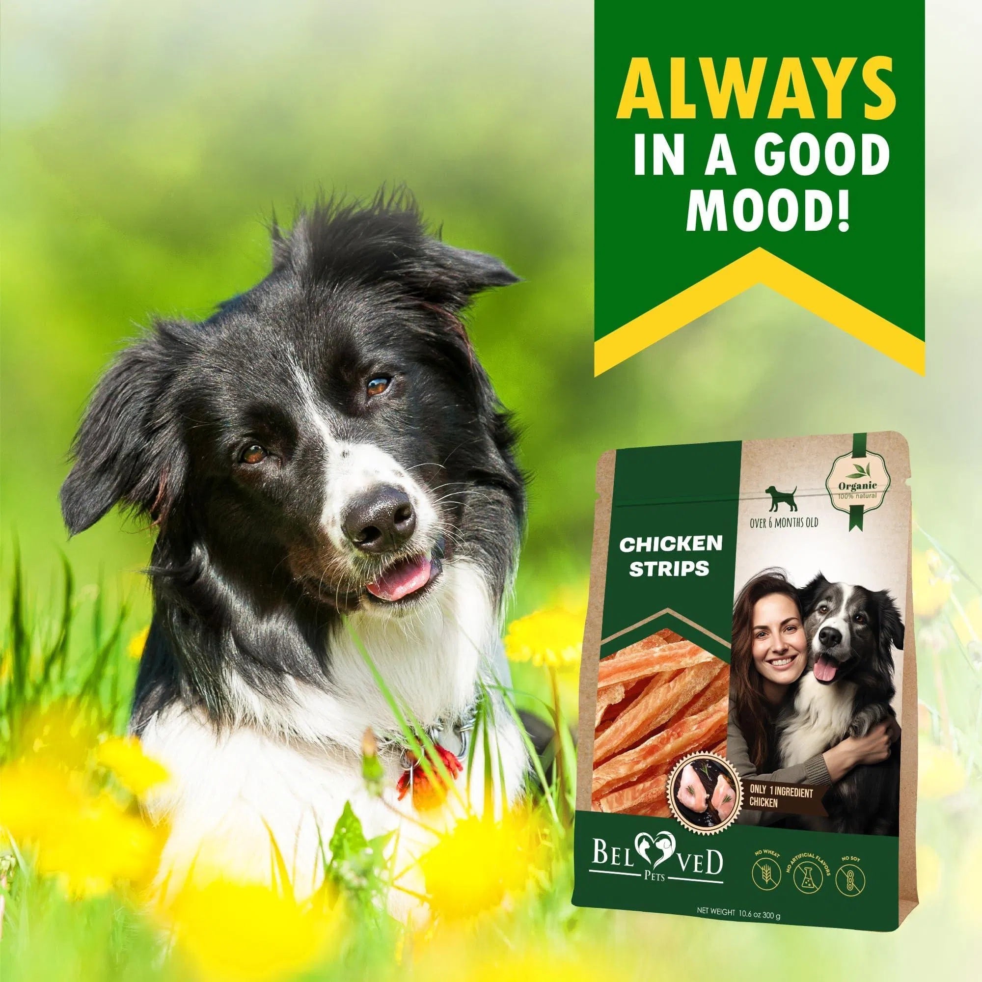 Chicken Strips Dog Treats – Human-Grade Grain-Free Meat Sticks for Healthy Chewing (10.6 oz)