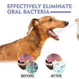 Yegbang Pet Oral Cleaning Spray – Breath-Freshening, Tartar-Reducing Dental Mist for Dogs & Cats