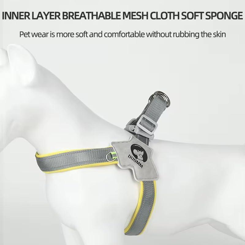 Pet Dog & Cat Harness with Leash Set – Adjustable Reflective Training Harness, No-Pull & No-Choke Design with Leather Leash