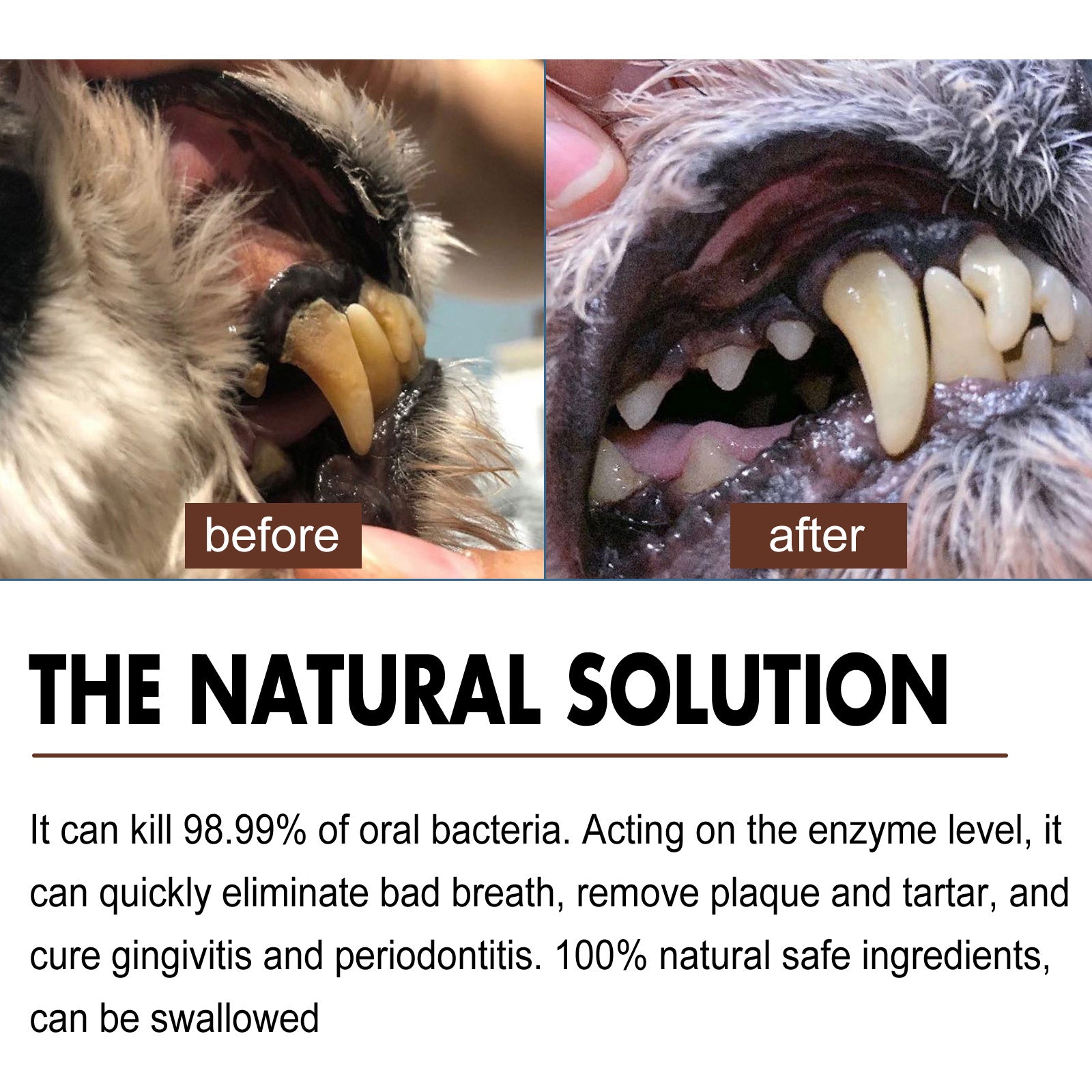 Pet Tooth Cleaning Spray – Oral Care Fresh Breath Spray for Dogs & Cats, Reduces Plaque & Tartar Buildup
