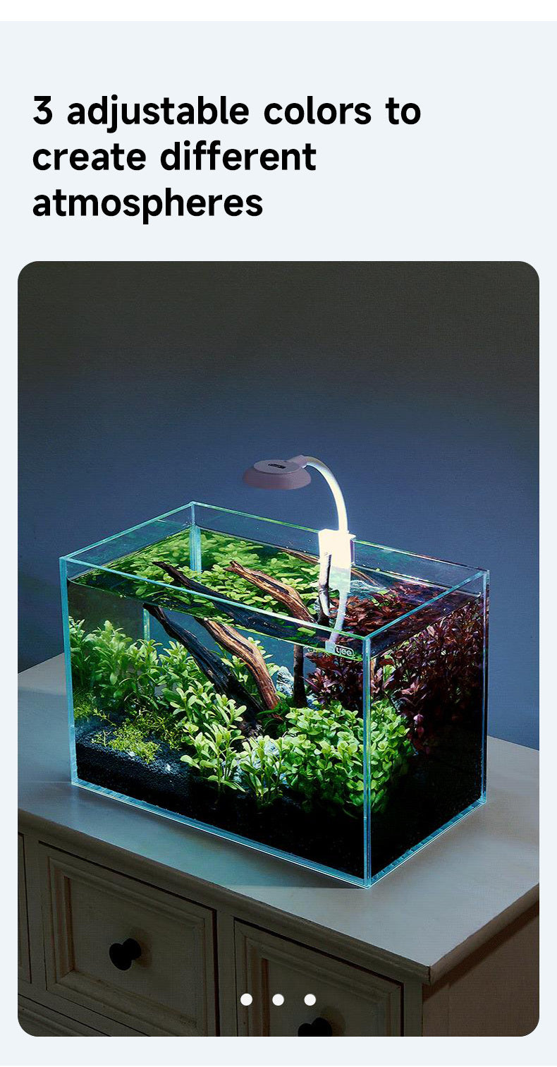 https://www.pulingo.com/products/round-head-small-clip-light-three-colors-3-5w-white?utm_source=copyToPasteBoard&utm_medium=product-links&utm_content=web
