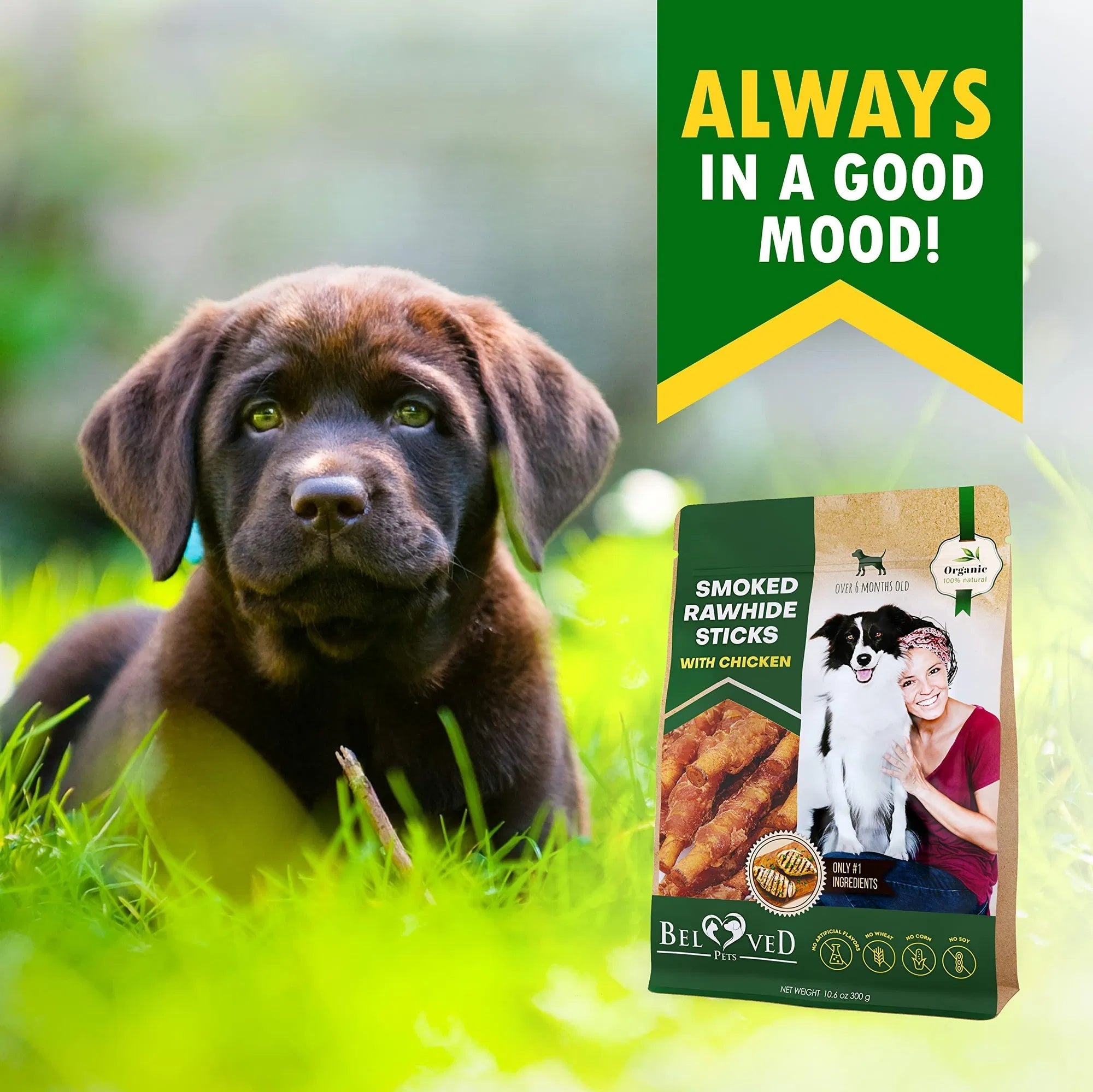 Dog Smoked Rawhide Sticks Wrapped with Chicken – Grain-Free Organic Human-Grade Chew Treats (Bulk Pack)