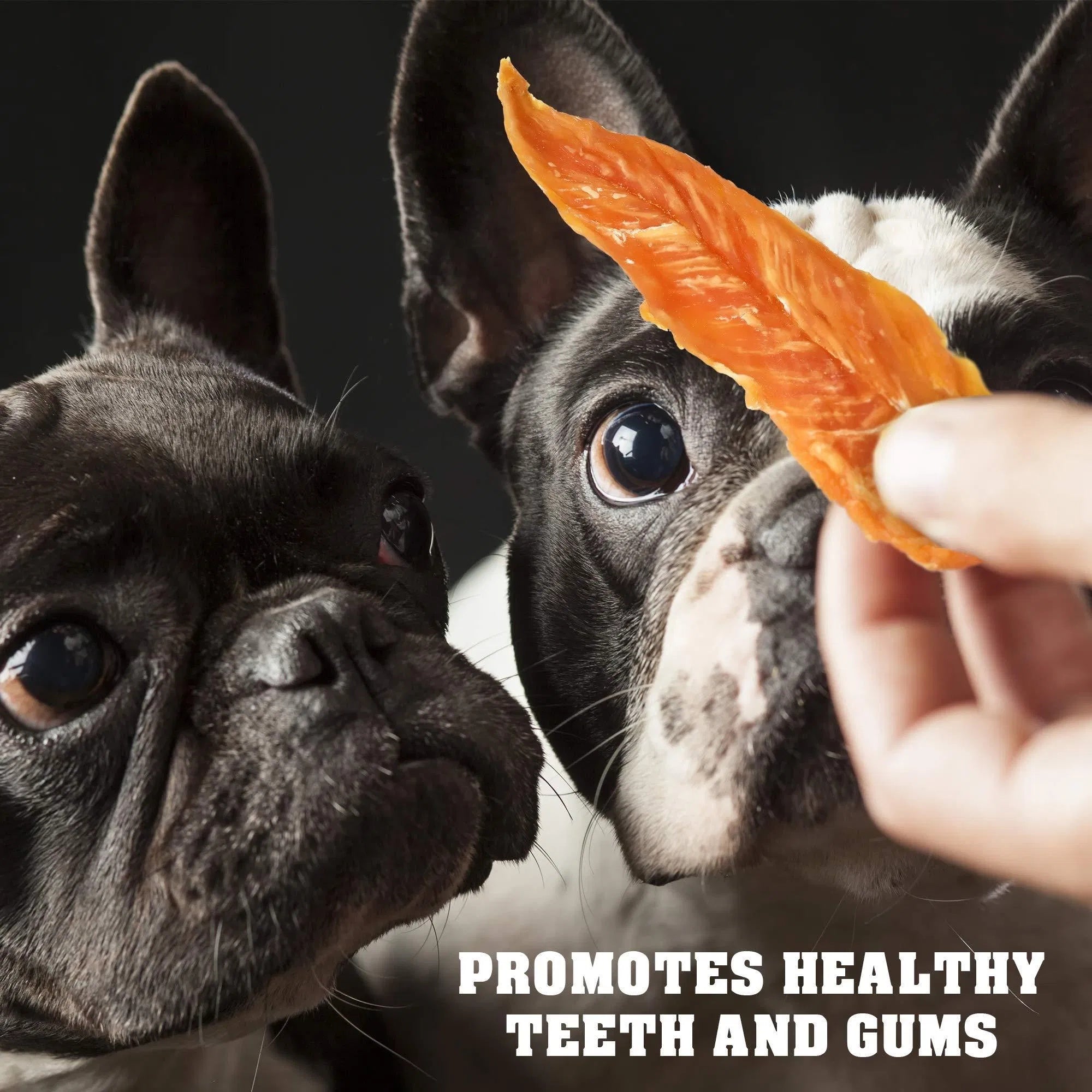 Chicken Jerky Dog Treats – 1.5 lb Human-Grade Grain-Free Organic High-Protein Natural Chews for Training