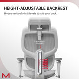 D2 Pro Ergonomic Office Chair with Footrest - High-Back Mesh Computer Chair with Adaptive Lumbar Support