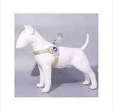 YT Pet Reflective Adjustable Dog & Cat Harness with Leather Leash – Comfortable, Easy Control & No-Pull Design