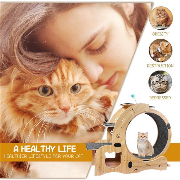 6-in-1 Cat Exercise Wheel – Upgraded Indoor Sports Wheel Device for Active & Healthy Cats