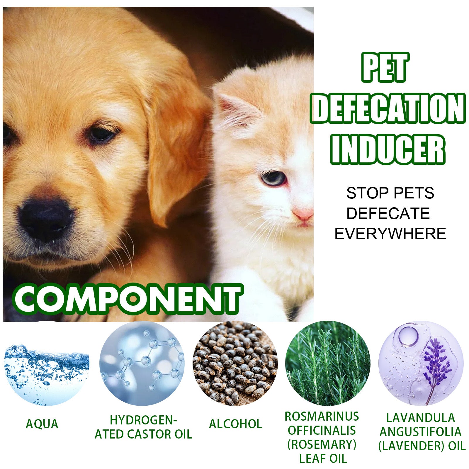 Pet Toilet Inducer Spray – Targeted Toilet Positioning Training Agent for Cats & Dogs