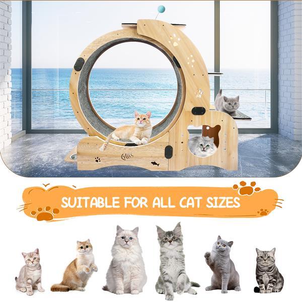 6-in-1 Cat Exercise Wheel – Upgraded Indoor Sports Wheel Device for Active & Healthy Cats