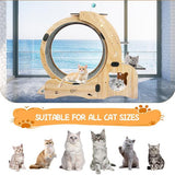 6-in-1 Cat Exercise Wheel – Upgraded Indoor Sports Wheel Device for Active & Healthy Cats