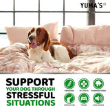 2-Pack Hemp Calming Chews for Dogs – Advanced Anxiety & Stress Relief Treats with Melatonin & Hemp Oil