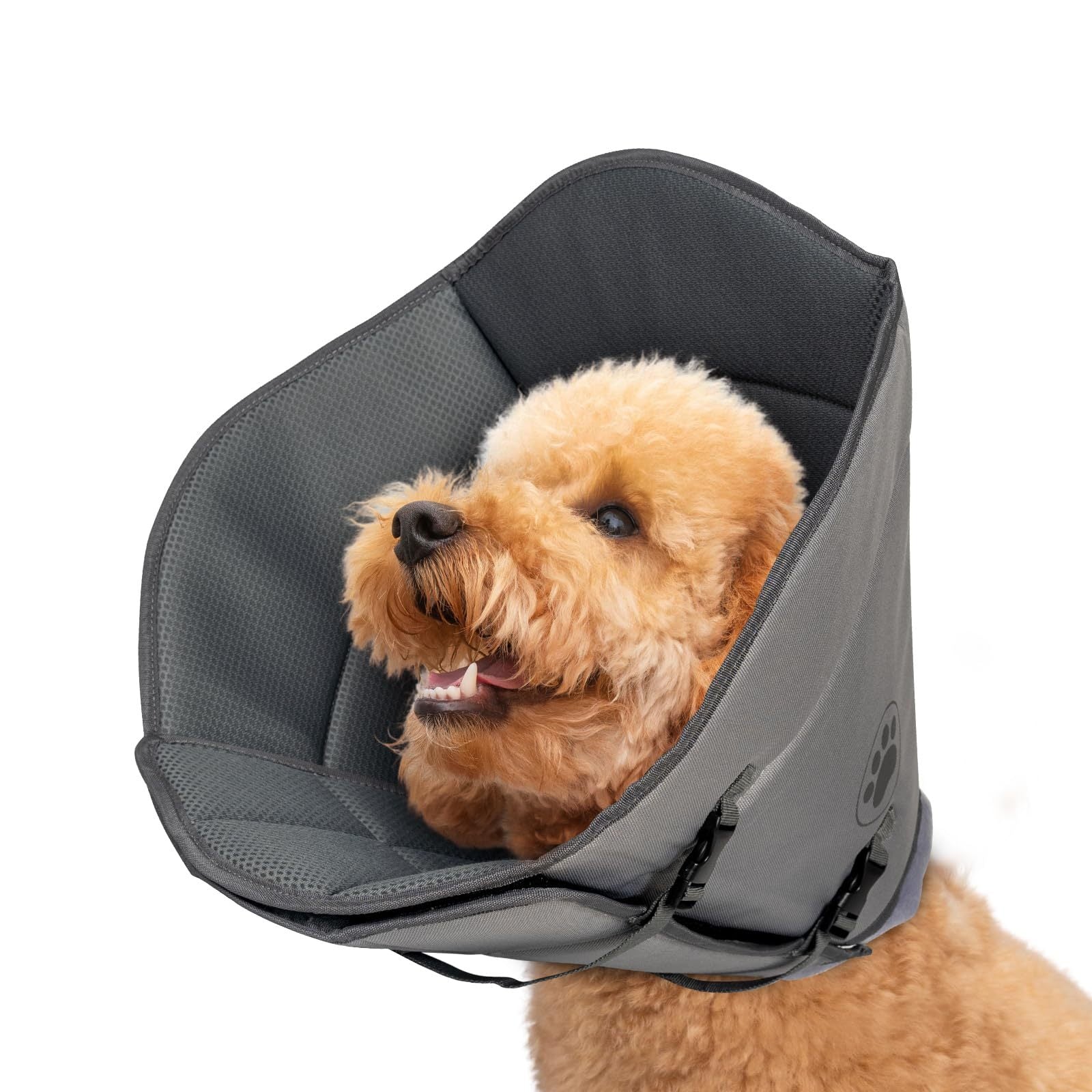 Pet Elizabethan Collar – Single Layer Recovery Cone for Cats & Dogs (M Size)