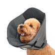 Pet Elizabethan Collar – Single Layer Recovery Cone for Cats & Dogs (M Size)