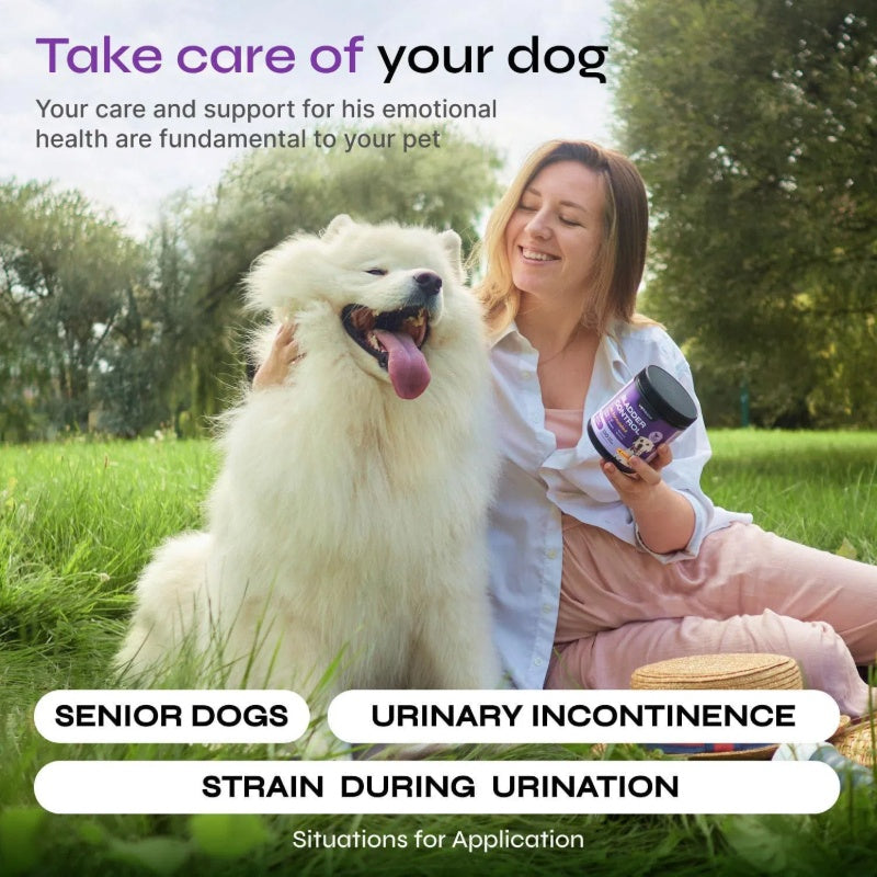 Dog UTI Treatment Cranberry Chews – Bladder Control & Kidney Support with D-Mannose