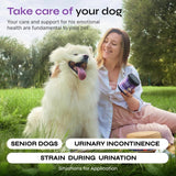 Dog UTI Treatment Cranberry Chews – Bladder Control & Kidney Support with D-Mannose