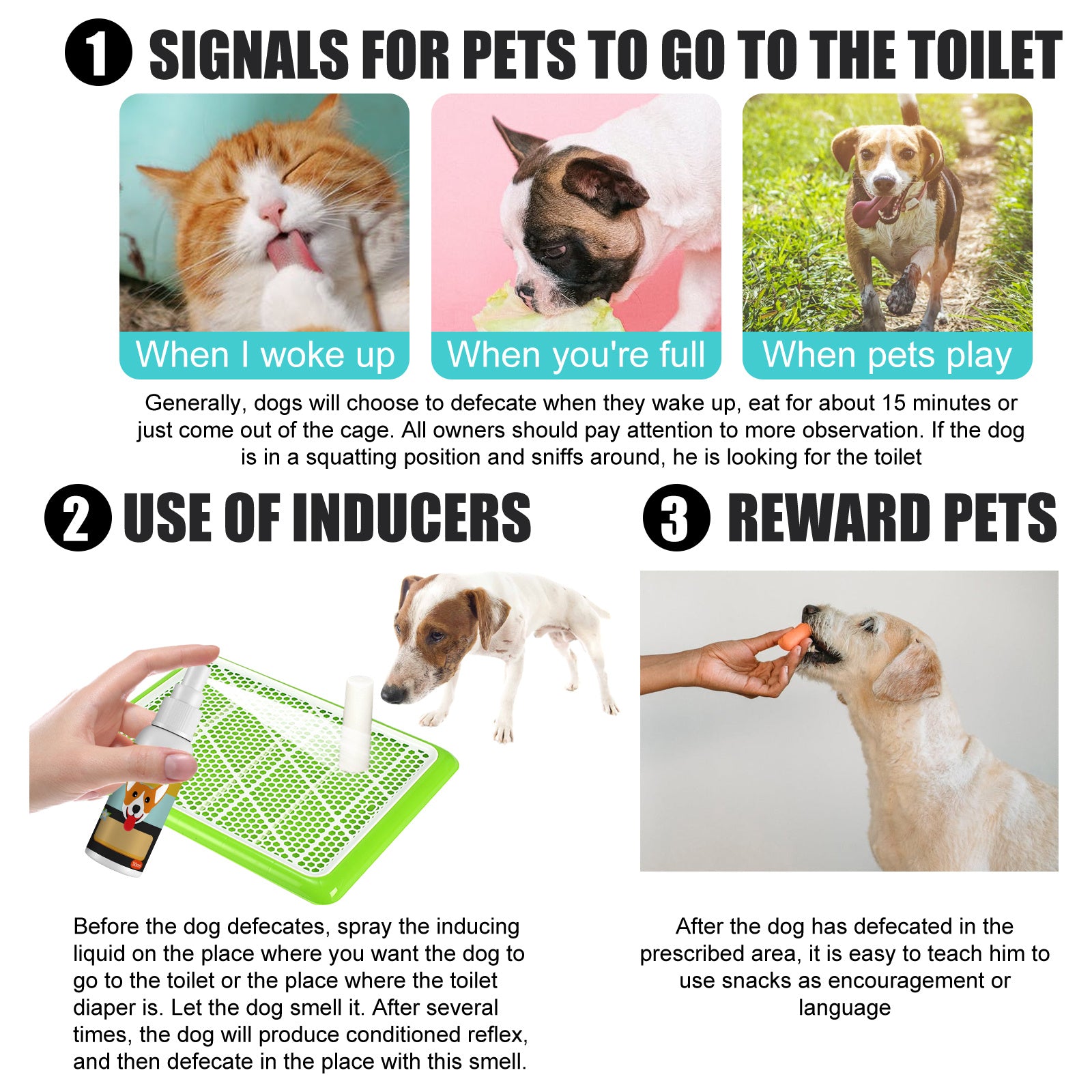 Pet Feces Positioning Inducer Spray – Attractant Scent Training Aid for Indoor & Outdoor Litter Spotting