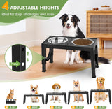 XIA Z Fashion Pet Products – Black Dog Bowl Holder with Double Stainless Steel Feeding Bowls, Non-Slip Elevated Stand