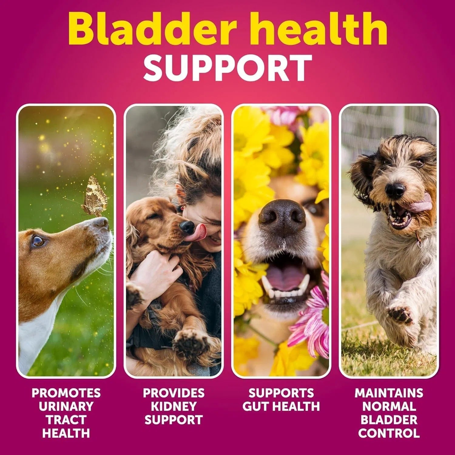 Dog UTI Treatment Cranberry Supplement – Bladder Control & Kidney Support Soft Chews with Fish Oil