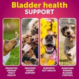 Dog UTI Treatment Cranberry Supplement – Bladder Control & Kidney Support Soft Chews with Fish Oil