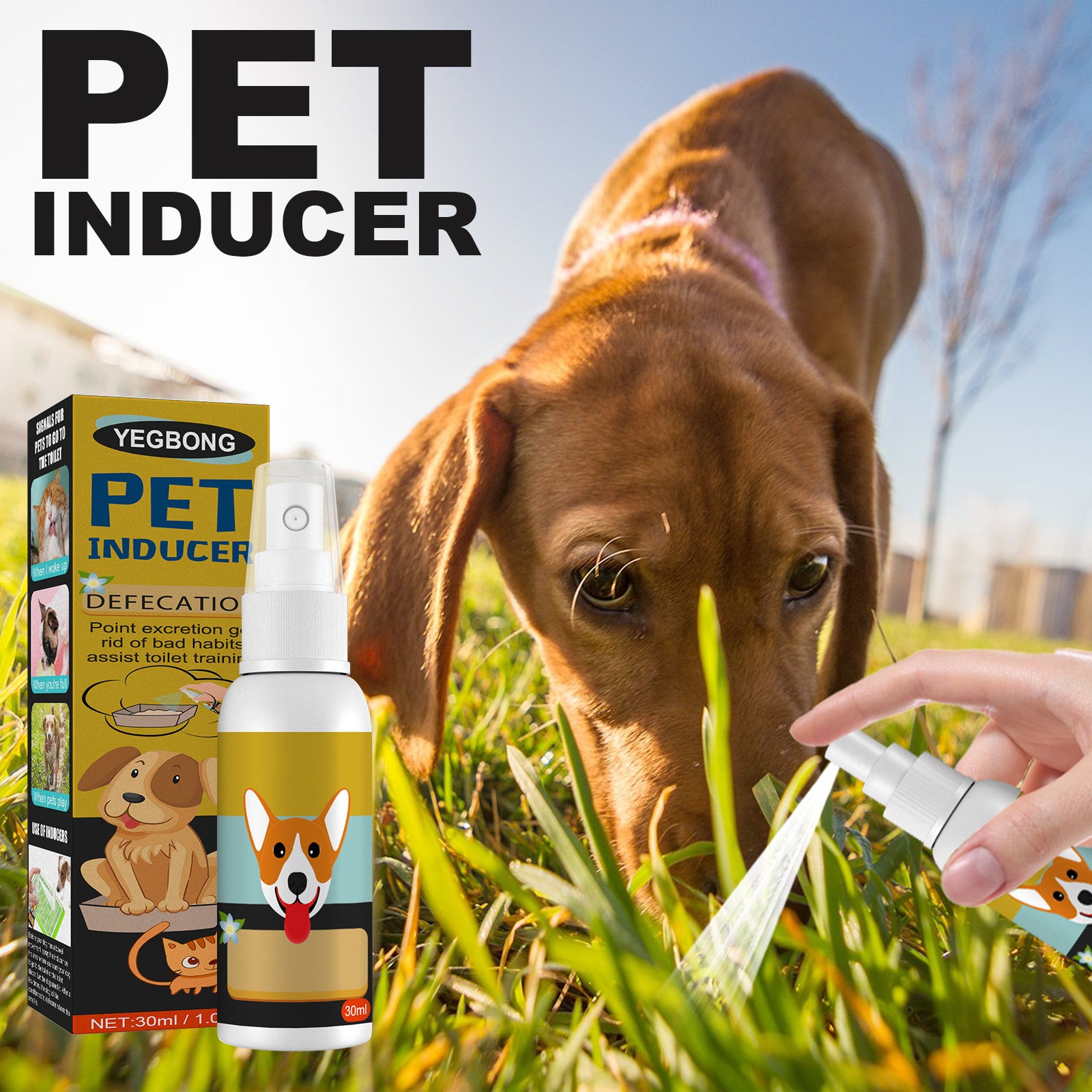 Pet Feces Positioning Inducer Spray – Attractant Scent Training Aid for Indoor & Outdoor Litter Spotting