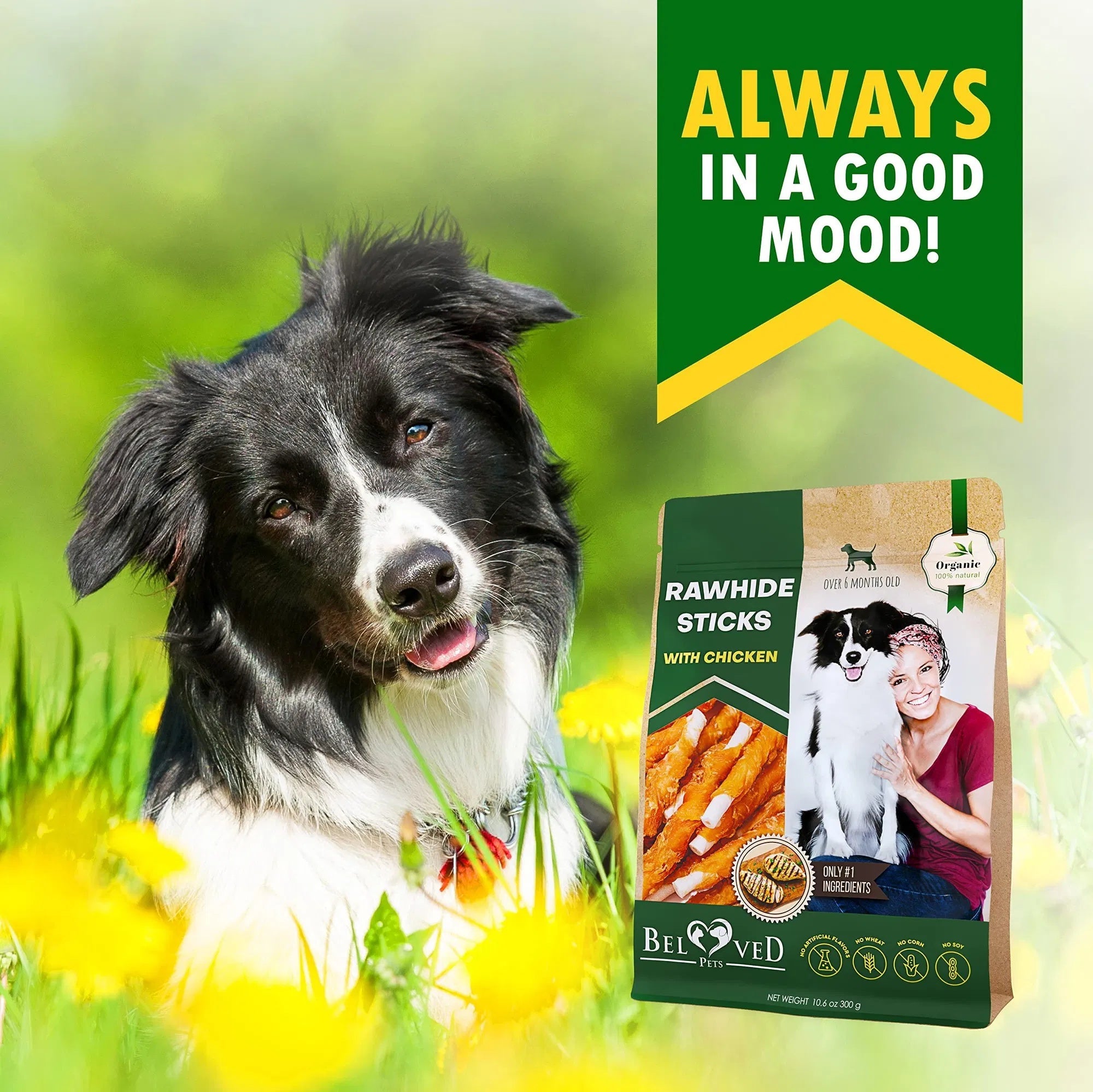 Dog Sticks Wrapped with Chicken – Grain-Free Organic Chew Treats, Human-Grade Meat Snacks for Training (Bulk Pack)
