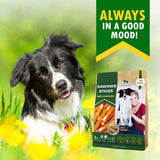 Dog Sticks Wrapped with Chicken – Grain-Free Organic Chew Treats, Human-Grade Meat Snacks for Training (Bulk Pack)