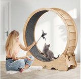 Cat Exercise Treadmill With Carpeted Runway - PulinGO
