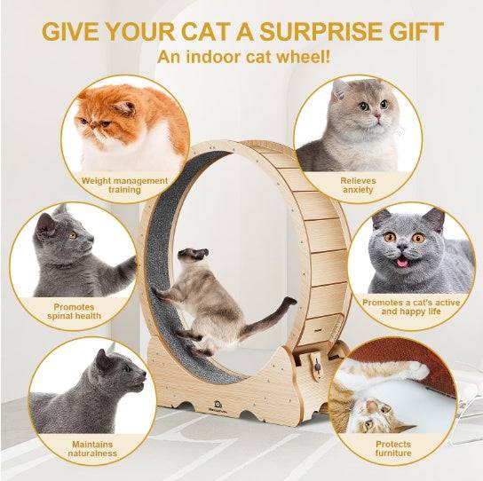 Cat Exercise Treadmill With Carpeted Runway - PulinGO