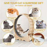 Cat Exercise Treadmill With Carpeted Runway - PulinGO